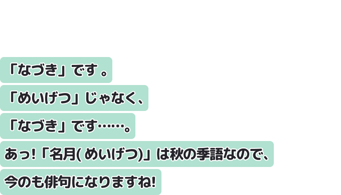 「なづきです 。「めいげつ」じゃなく、「なづき」です……。あっ!「名月( めいげつ)」は秋の季語なので、今のも俳句になりますね!