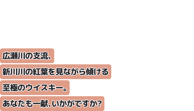 広瀬川の支流、新川川の紅葉を見ながら傾ける至極のウイスキー。
あなたも一献、いかがですか？